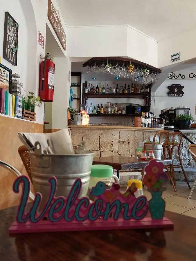 Casa Tucan Hotel 普拉亚卡门